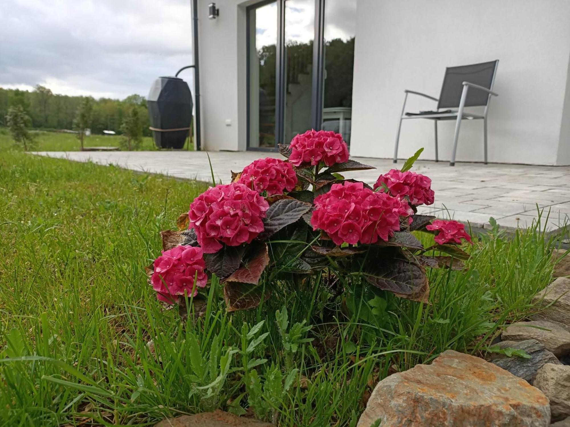 Przystanek Pokrzywna Villa Eksteriør billede